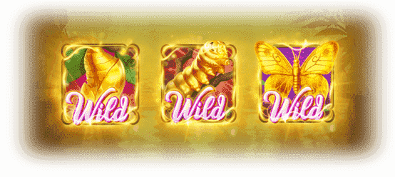 Butterfly Blossom 4 Butterfly Blossom Wild